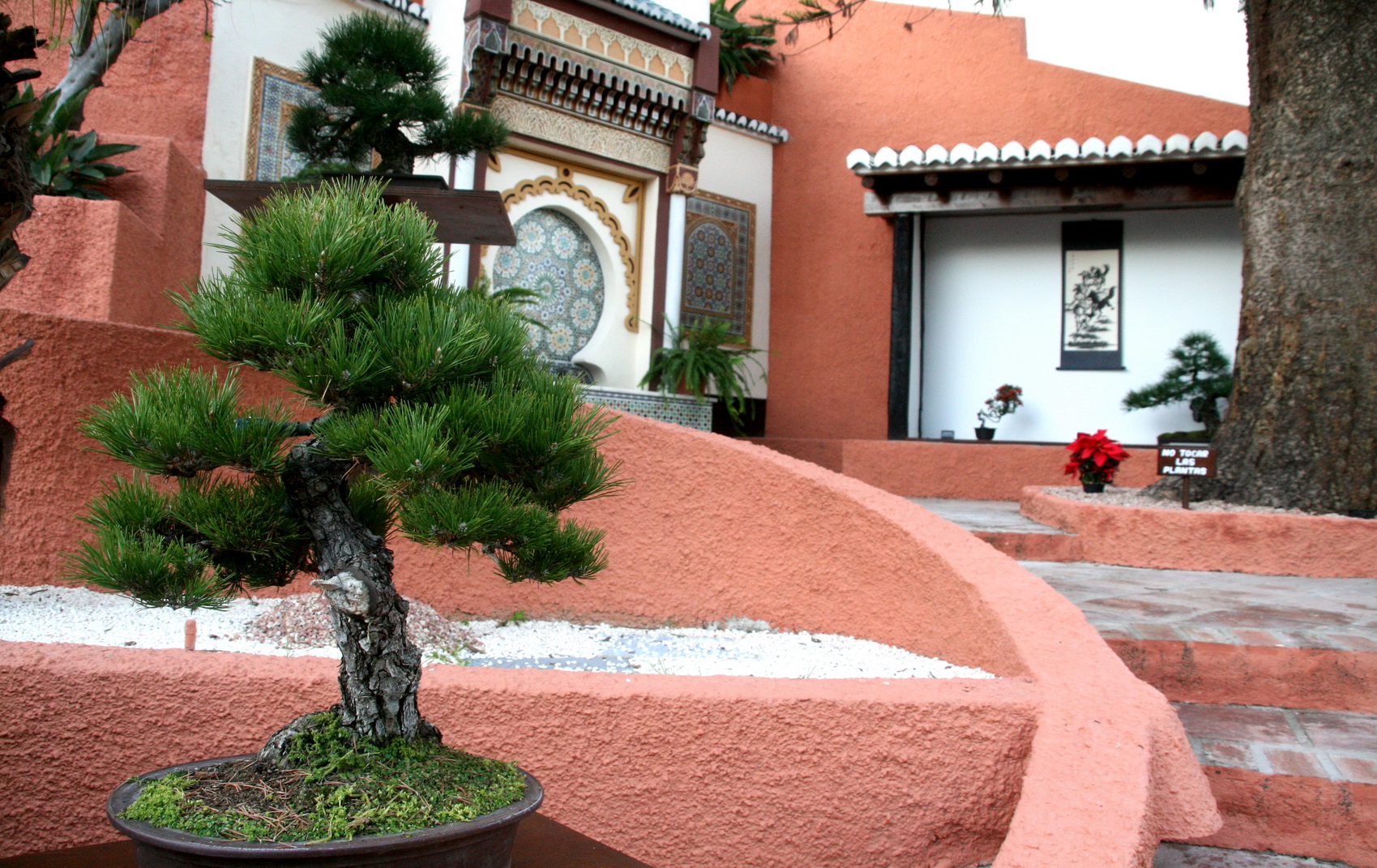 Unidas Podemos Almuñécar critica la dejadez del gobierno municipal respecto al Museo del Bonsái